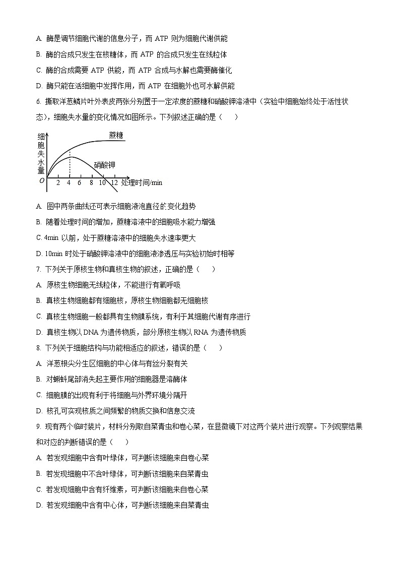 精品解析：四川省内江市六中2023-2024学年高三上学期入学考试生物试题（原卷版）第2页