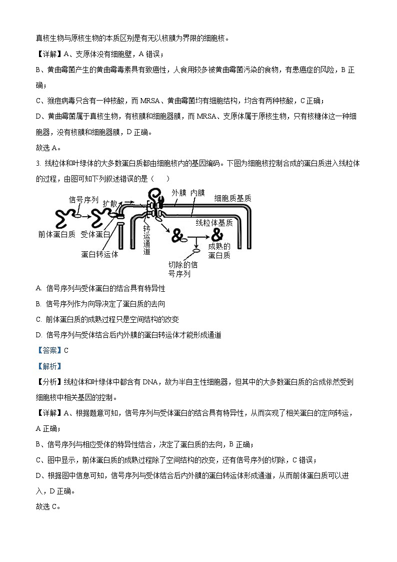 江苏省句容市第三中学、海安实验中学2023-2024学年高三上学期10月联考生物 试卷02