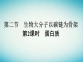 广西专版2023_2024学年新教材高中生物第1章细胞的分子组成第2节生物大分子以碳链为骨架第2课时蛋白质课件浙科版必修1