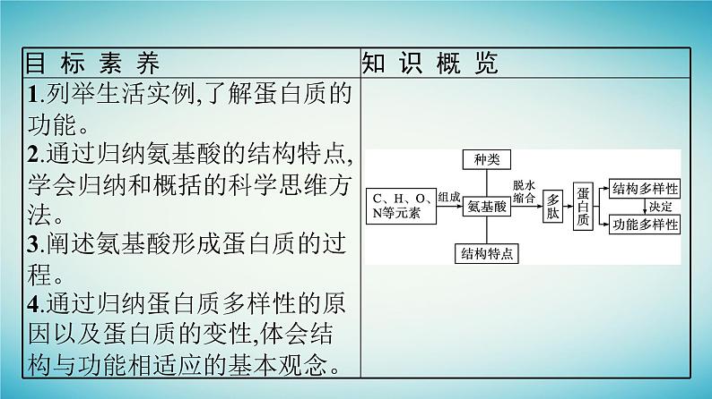 广西专版2023_2024学年新教材高中生物第1章细胞的分子组成第2节生物大分子以碳链为骨架第2课时蛋白质课件浙科版必修1第4页