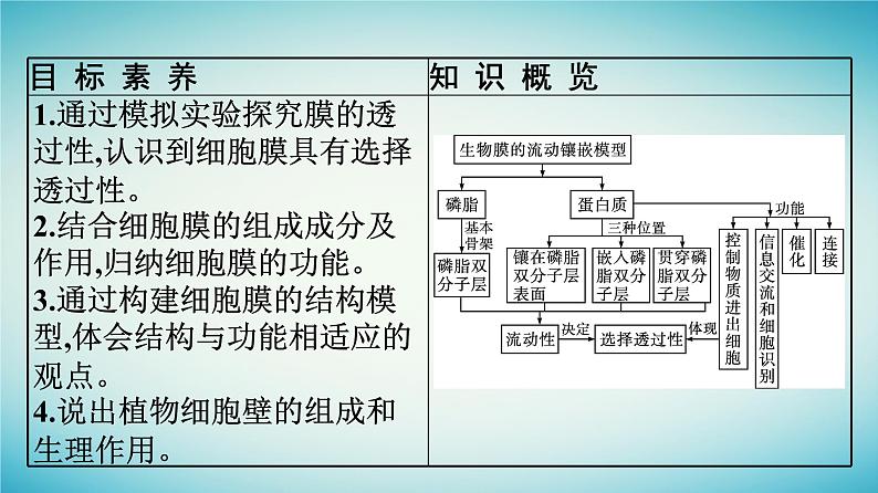 广西专版2023_2024学年新教材高中生物第2章细胞的结构第2节细胞膜控制细胞与周围环境的联系课件浙科版必修104