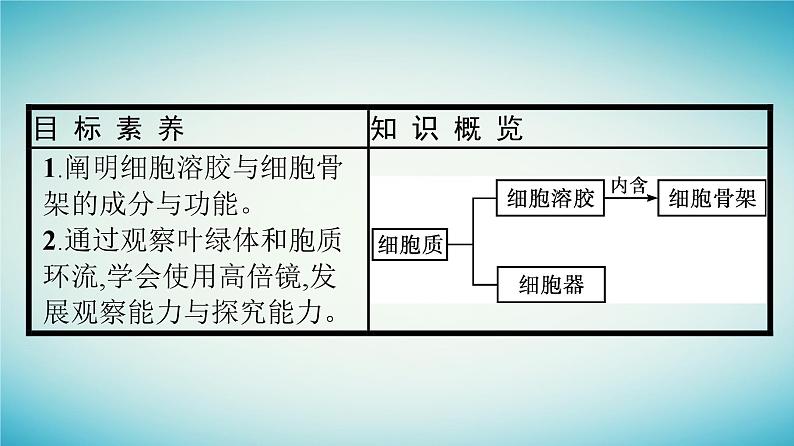 广西专版2023_2024学年新教材高中生物第2章细胞的结构第3节细胞质是多项生命活动的场所第2课时胞质环流细胞溶胶和细胞骨架课件浙科版必修104