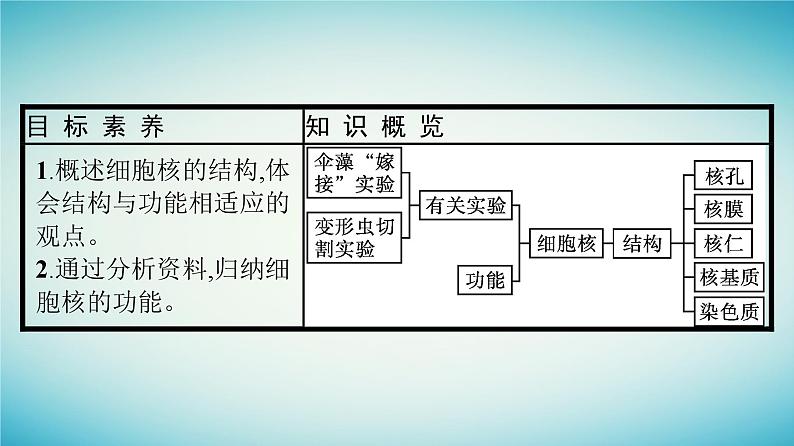 广西专版2023_2024学年新教材高中生物第2章细胞的结构第4节细胞核是细胞生命活动的控制中心课件浙科版必修104