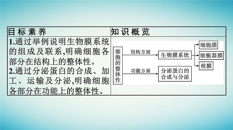 广西专版2023_2024学年新教材高中生物第2章细胞的结构第5节细胞在结构和功能上是一个统一整体课件浙科版必修104