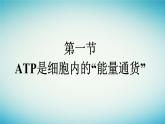 廣西專版2023_2024學(xué)年新教材高中生物第3章細(xì)胞的代謝第1節(jié)ATP是細(xì)胞內(nèi)的“能量通貨”課件浙科版必修1