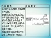 廣西專版2023_2024學(xué)年新教材高中生物第3章細(xì)胞的代謝第1節(jié)ATP是細(xì)胞內(nèi)的“能量通貨”課件浙科版必修1