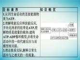 广西专版2023_2024学年新教材高中生物第3章细胞的代谢第1节ATP是细胞内的“能量通货”课件浙科版必修1