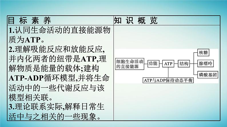 广西专版2023_2024学年新教材高中生物第3章细胞的代谢第1节ATP是细胞内的“能量通货”课件浙科版必修104