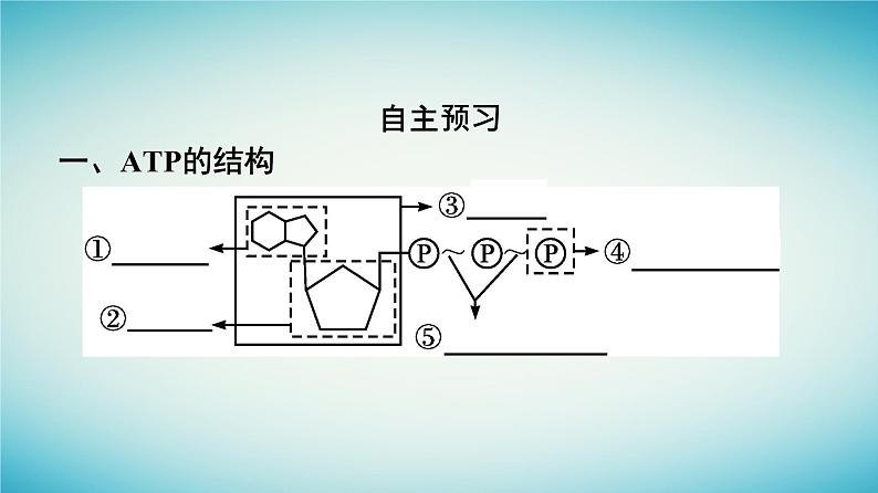 广西专版2023_2024学年新教材高中生物第3章细胞的代谢第1节ATP是细胞内的“能量通货”课件浙科版必修106