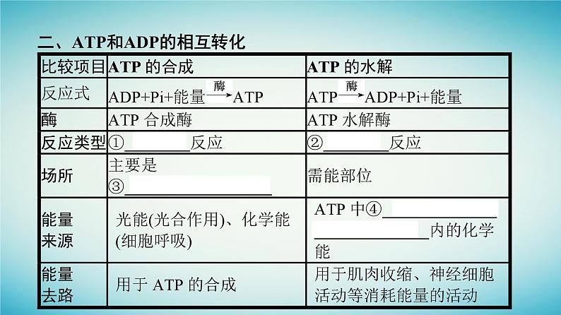 广西专版2023_2024学年新教材高中生物第3章细胞的代谢第1节ATP是细胞内的“能量通货”课件浙科版必修107