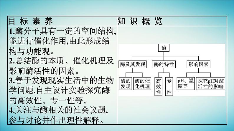 广西专版2023_2024学年新教材高中生物第3章细胞的代谢第2节酶是生物催化剂课件浙科版必修1第4页