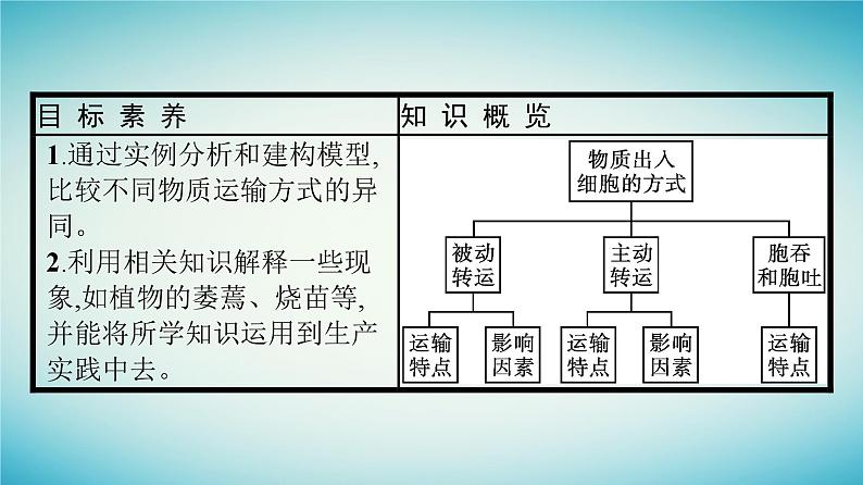 广西专版2023_2024学年新教材高中生物第3章细胞的代谢第3节物质通过多种方式出入细胞第2课时物质出入细胞的方式课件浙科版必修1第4页