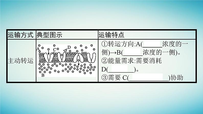 广西专版2023_2024学年新教材高中生物第3章细胞的代谢第3节物质通过多种方式出入细胞第2课时物质出入细胞的方式课件浙科版必修1第7页