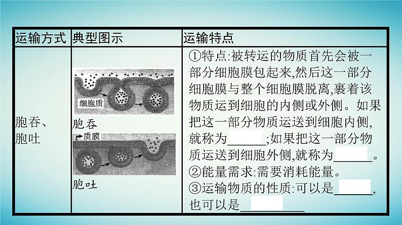 广西专版2023_2024学年新教材高中生物第3章细胞的代谢第3节物质通过多种方式出入细胞第2课时物质出入细胞的方式课件浙科版必修1第8页