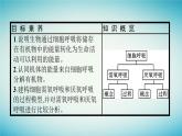 广西专版2023_2024学年新教材高中生物第3章细胞的代谢第4节细胞呼吸为细胞生活提供能量第1课时需氧呼吸与厌氧呼吸课件浙科版必修1