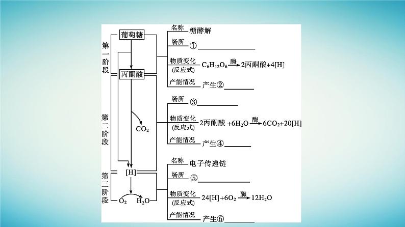 广西专版2023_2024学年新教材高中生物第3章细胞的代谢第4节细胞呼吸为细胞生活提供能量第1课时需氧呼吸与厌氧呼吸课件浙科版必修108