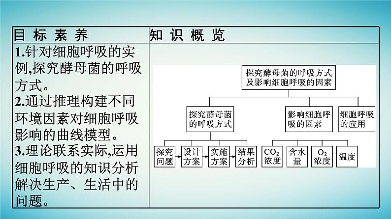 广西专版2023_2024学年新教材高中生物第3章细胞的代谢第4节细胞呼吸为细胞生活提供能量第2课时探究酵母菌的呼吸方式及影响细胞呼吸的因素课件浙科版必修1第5页