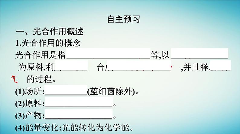 广西专版2023_2024学年新教材高中生物第3章细胞的代谢第5节光合作用将光能转化为化学能第1课时光合色素及光合作用的基本过程课件浙科版必修1第6页