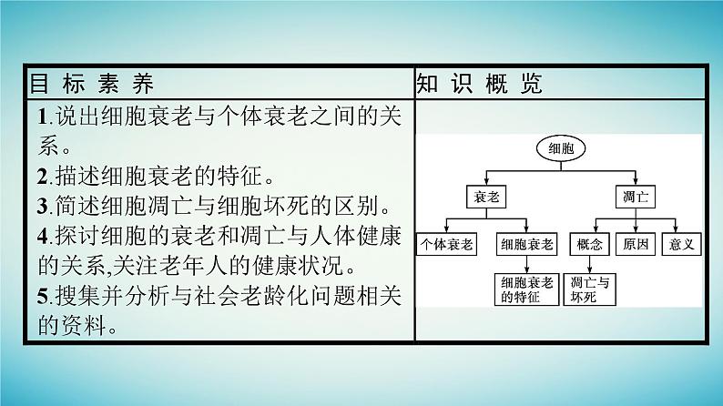 广西专版2023_2024学年新教材高中生物第4章细胞的生命历程第3节细胞凋亡是编程性死亡课件浙科版必修104