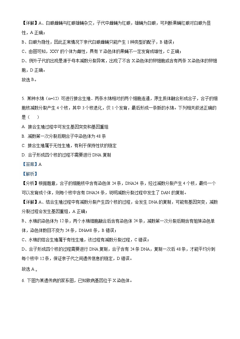 北京市四中2023—2024学年高三上学期第一次阶段测试生物试题（解析版）第3页