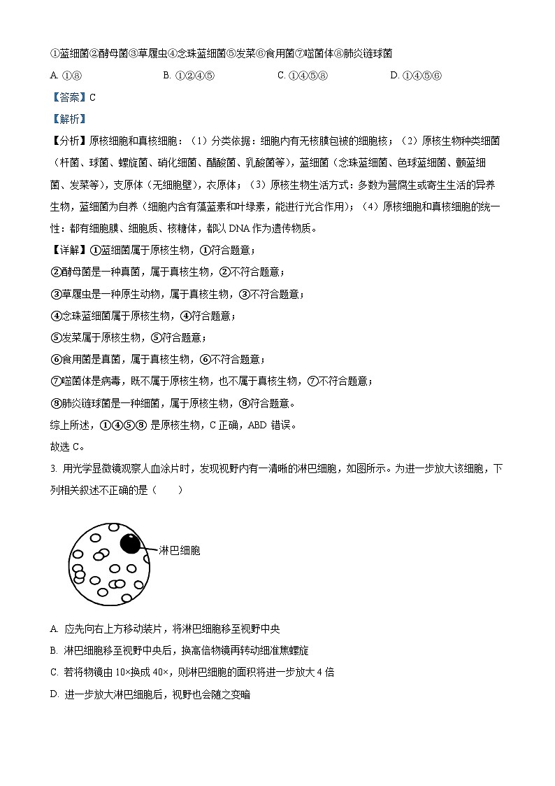 北京市中国人民大学附中2023-2024学年高一上学期期中生物试题（解析版）02