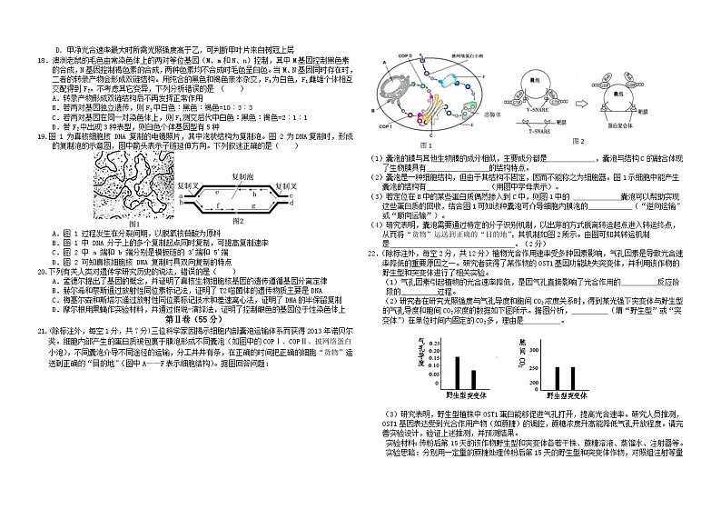 山东省聊城第一中学2023-2024学年高三上学期第二次阶段性测试生物试题第3页
