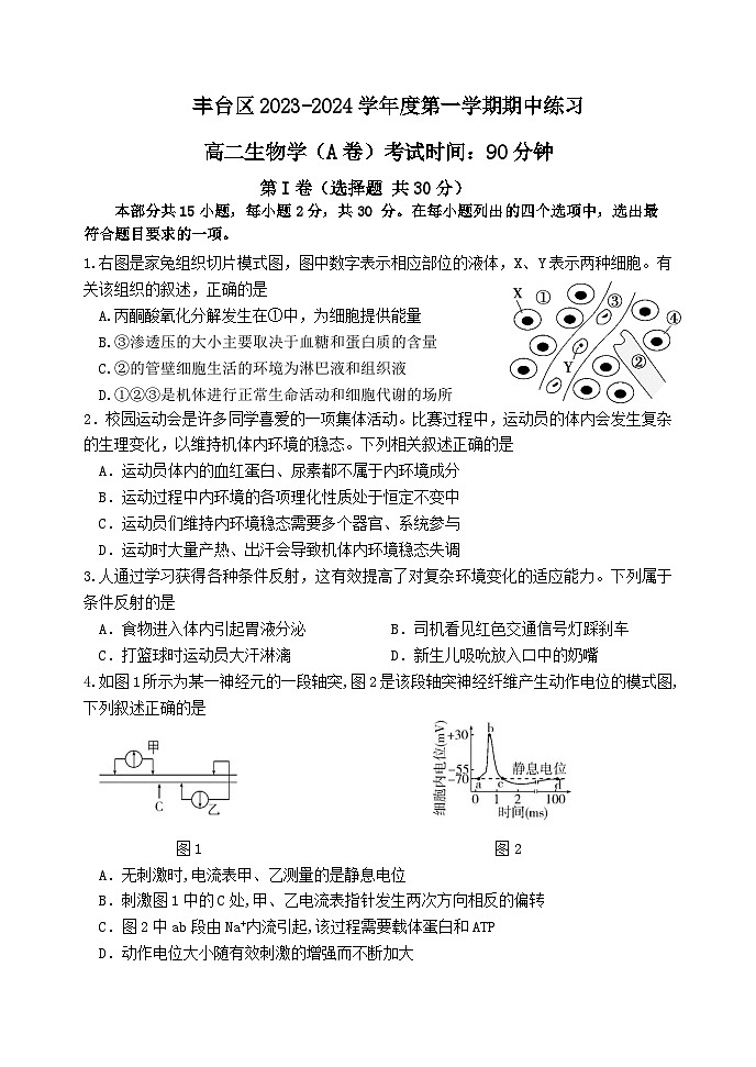北京市丰台区2023-2024学年高二上学期期中生物试卷A卷第1页