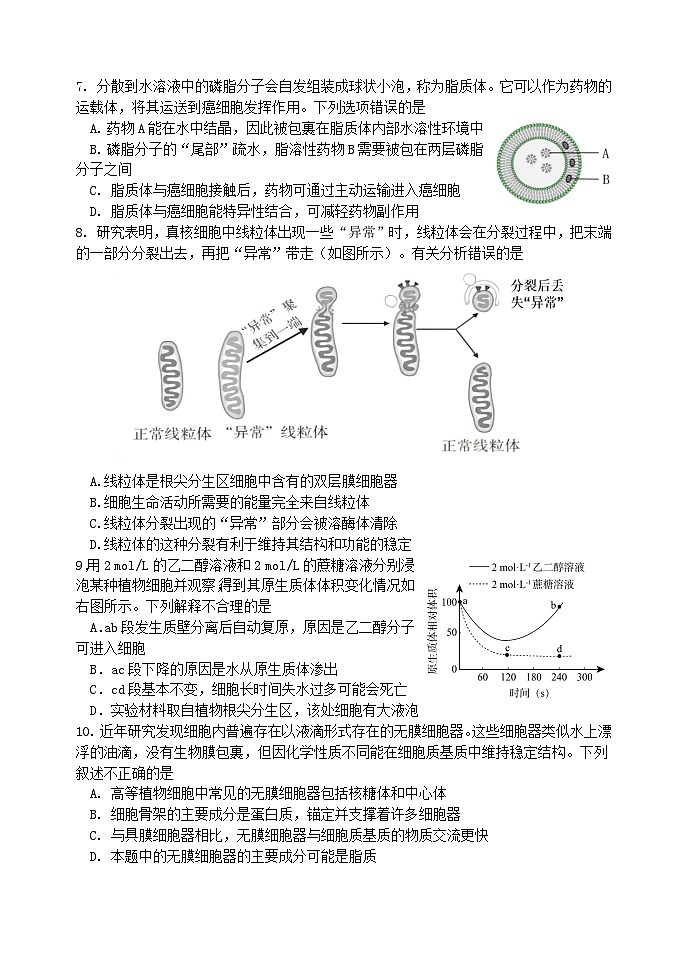 北京市丰台区2023-2024学年高一上学期期中联考生物试卷A卷02