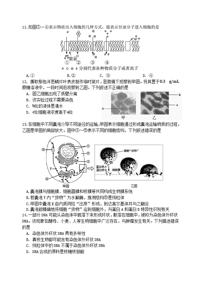北京市丰台区2023-2024学年高一上学期期中联考生物试卷A卷03