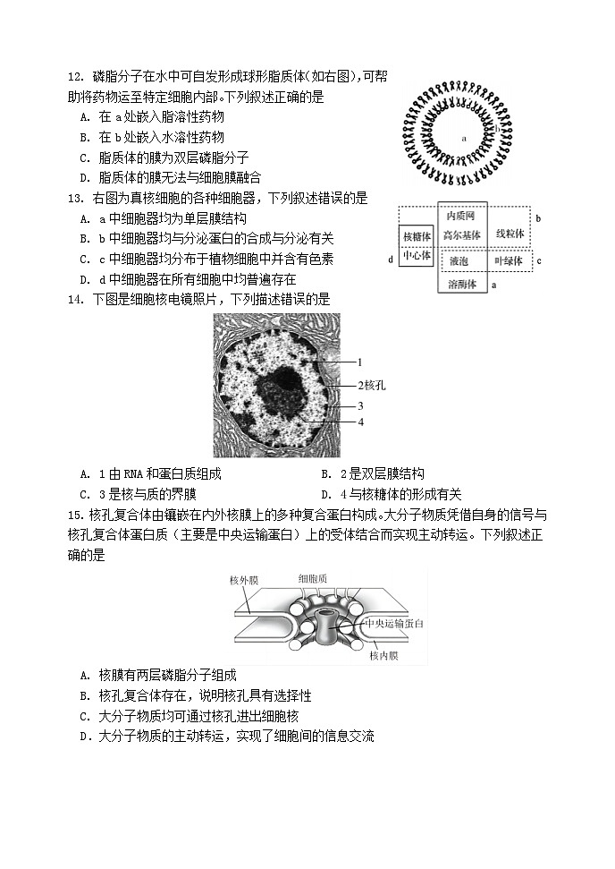 北京市丰台区2023-2024学年高一上学期期中联考生物试卷B卷03