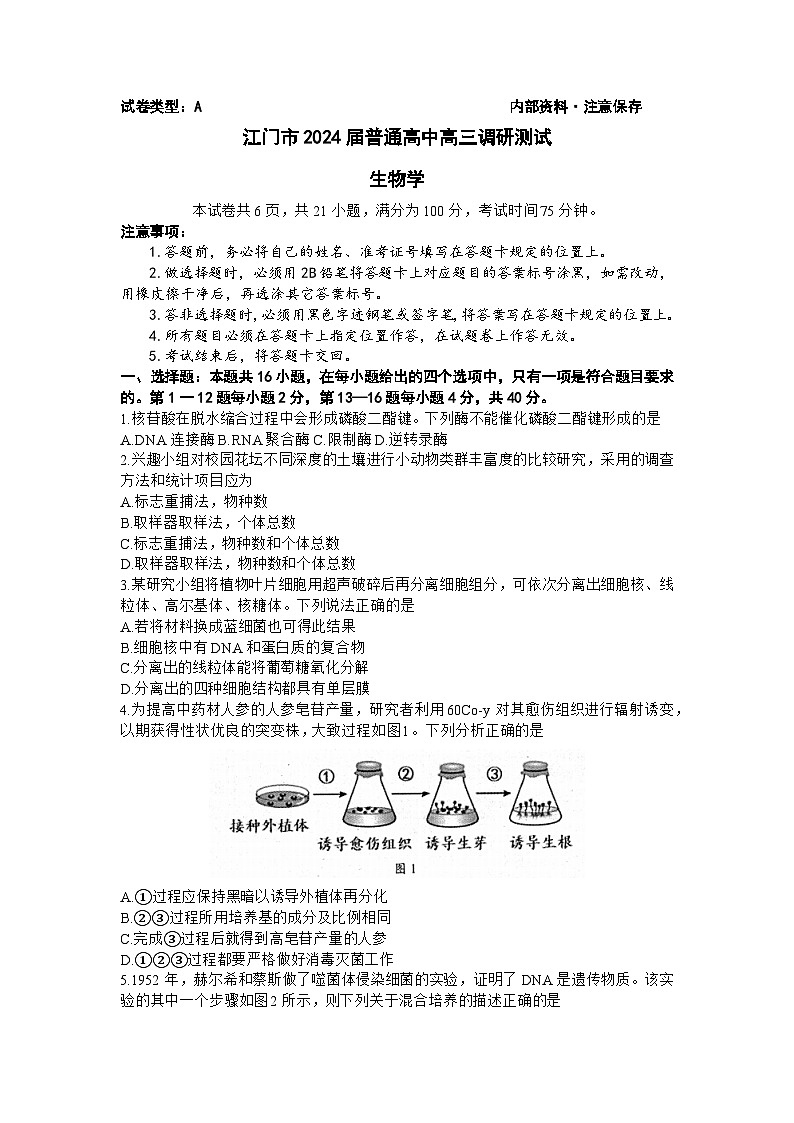 广东省江门市普通高中2023-2024学年高三上学期调研测试生物试卷第1页