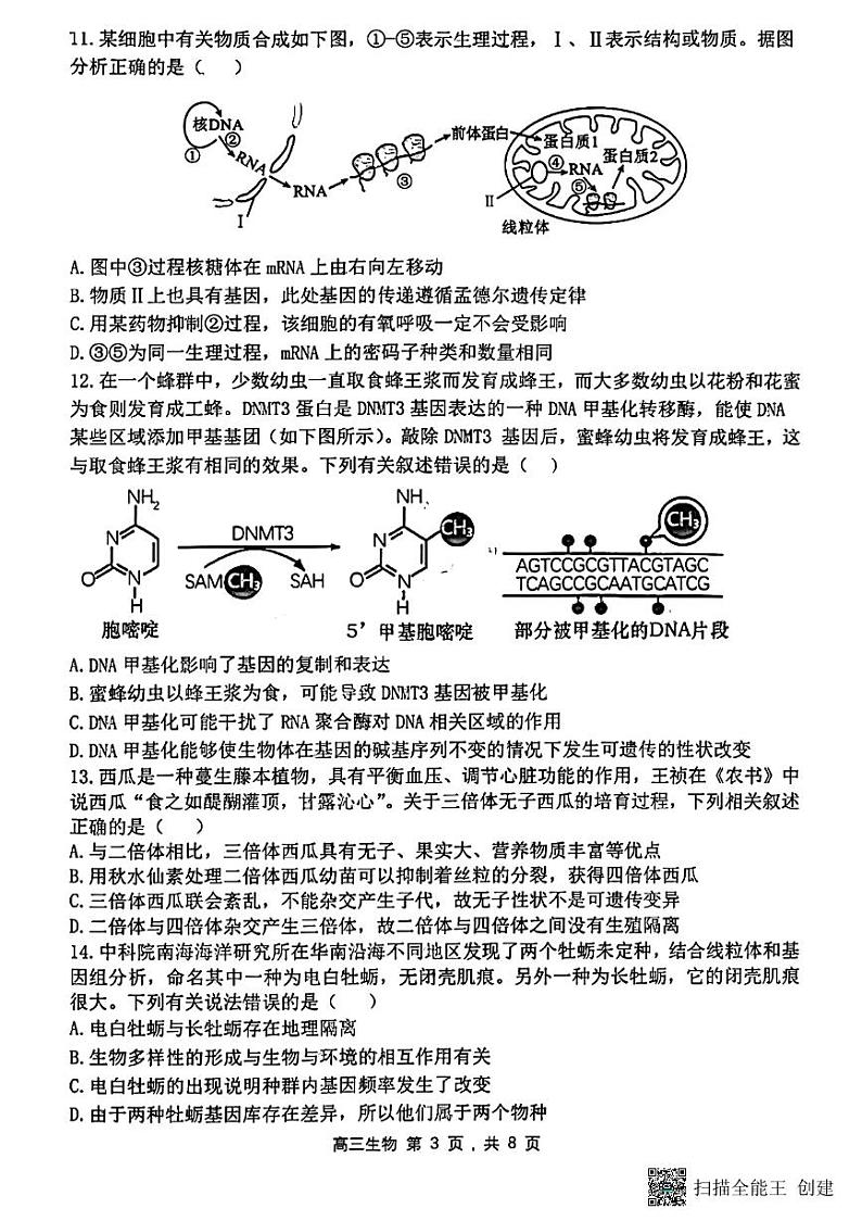黑龙江哈尔滨第三中学2023-2024学年高三上学期期中考试生物试题第3页