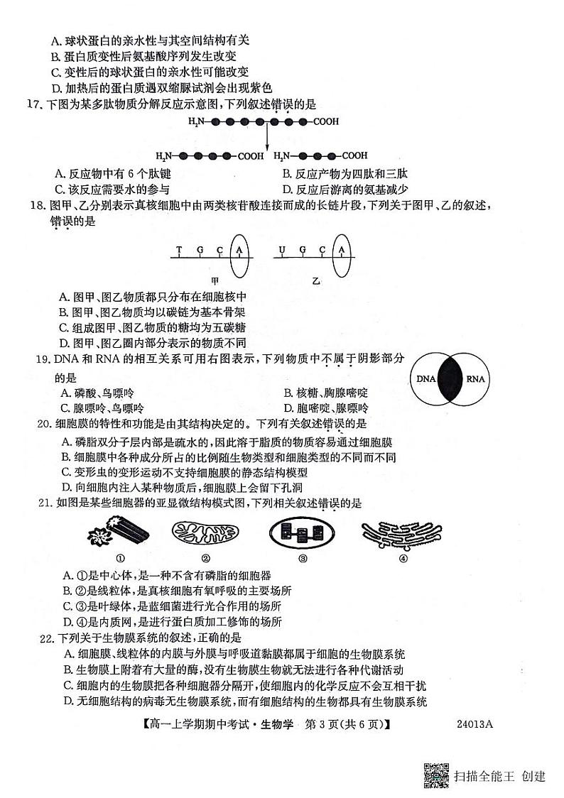 黑龙江省齐齐哈尔市2023-2024学年高一上学期10月期中生物试题第3页