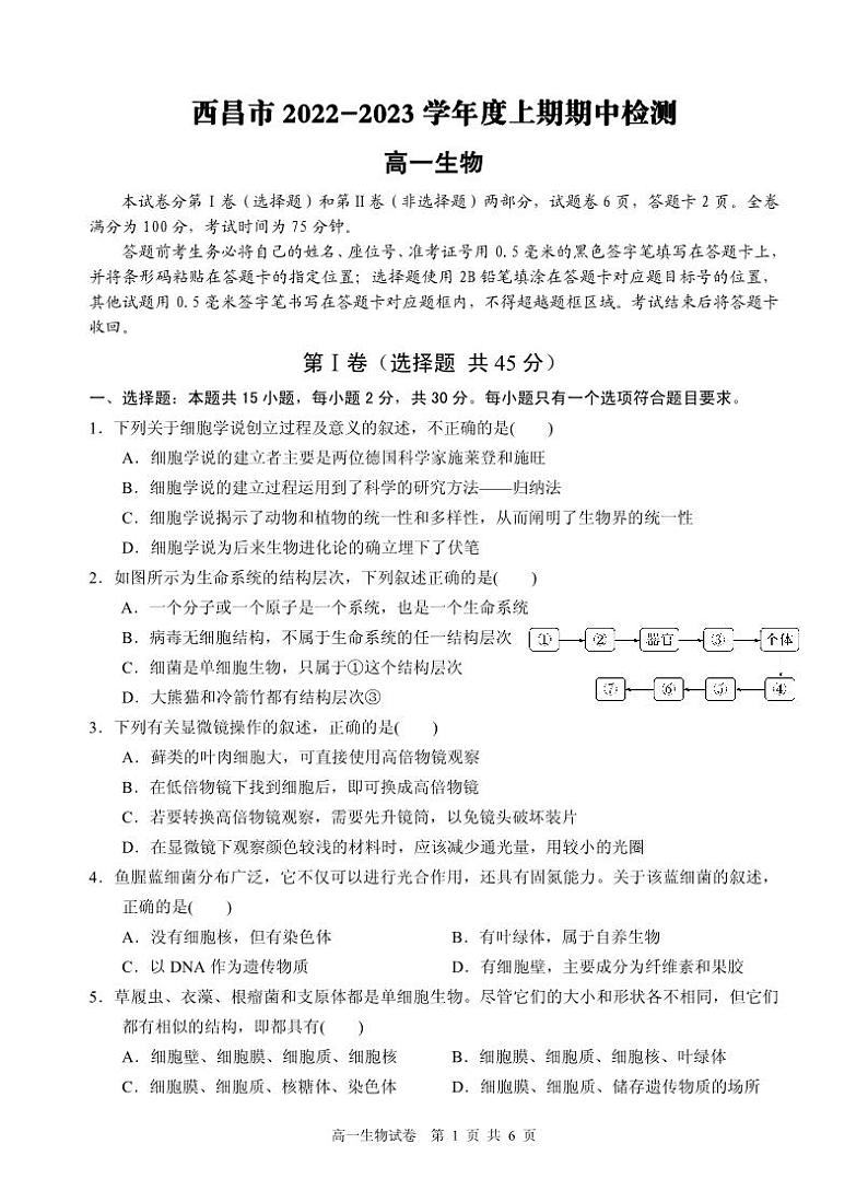 四川省凉山州西昌市2022-2023学年高一上学期期中考试生物试题第1页
