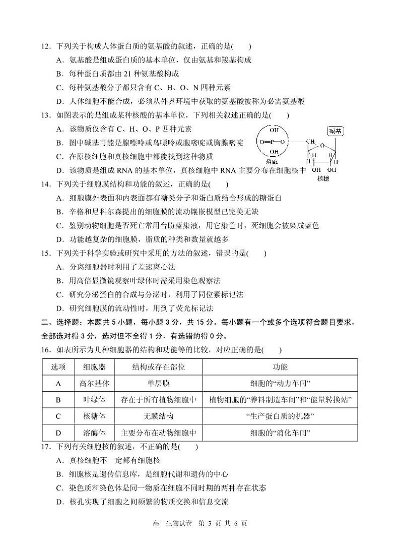 四川省凉山州西昌市2022-2023学年高一上学期期中考试生物试题第3页