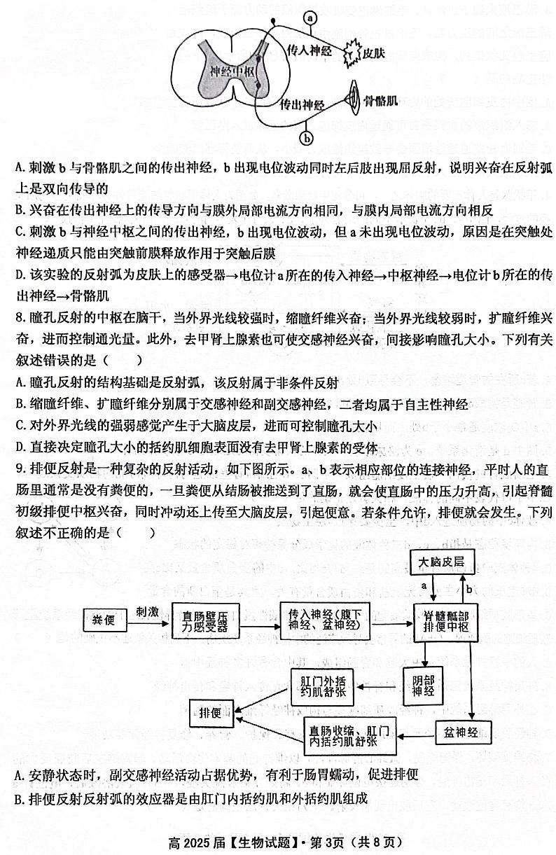 重庆市名校联盟联合考试2023-2024学年高二上学期11月期中生物试题第3页