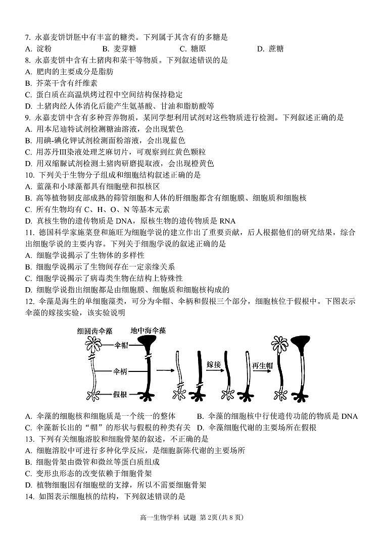 浙江省温州市环大罗山联盟2023-2024学年高一上学期期中联考生物试卷02