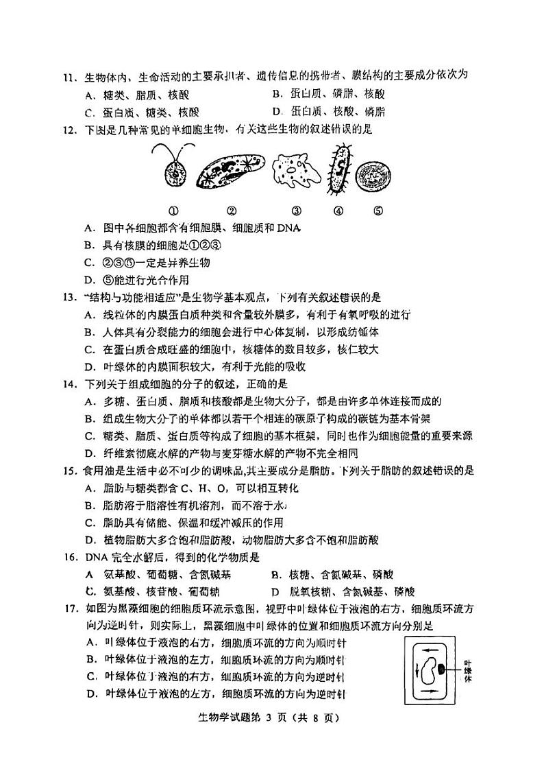 福建省武夷山市第一中学2023-2024学年高一上学期期中生物试卷（实验班）03
