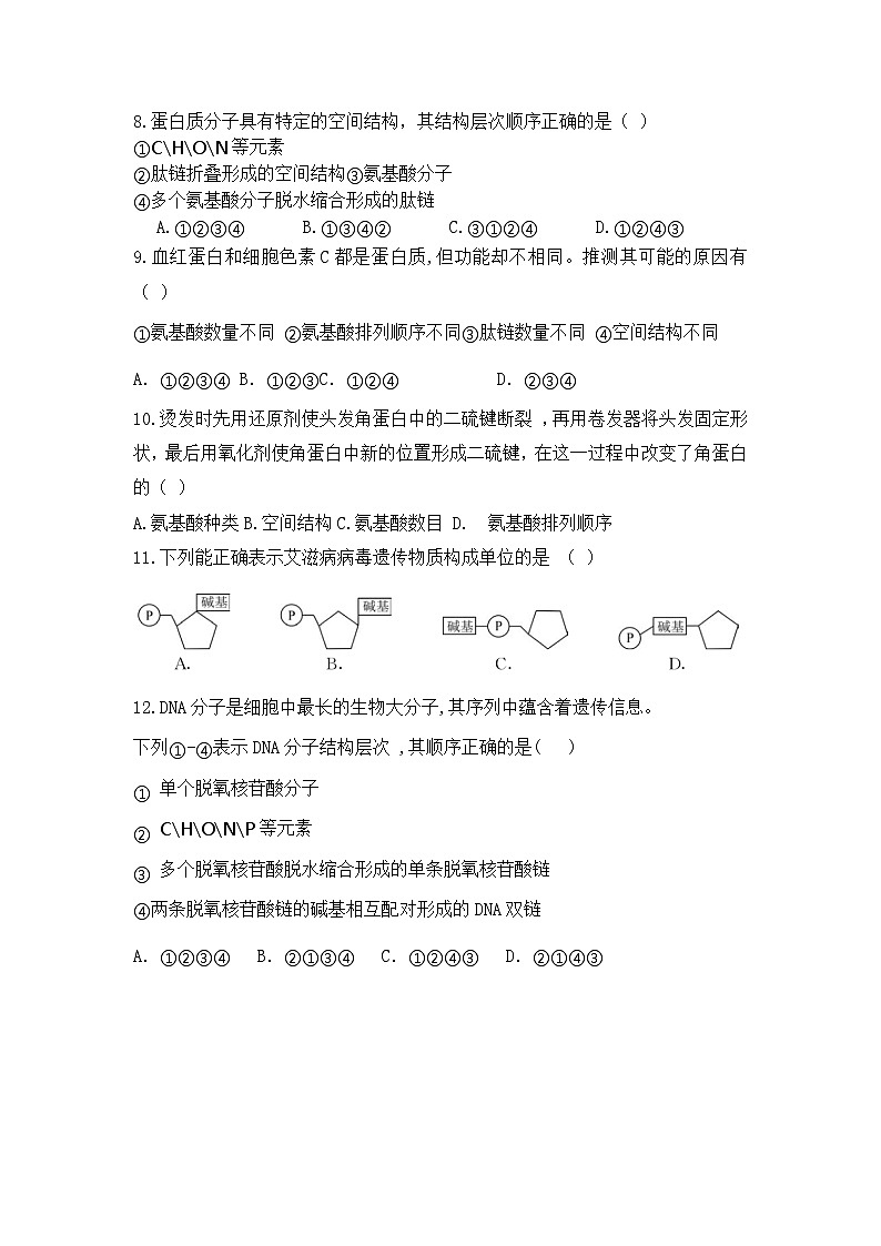 上海市回民中学2023-2024学年高一上学期期中考试生物试题02