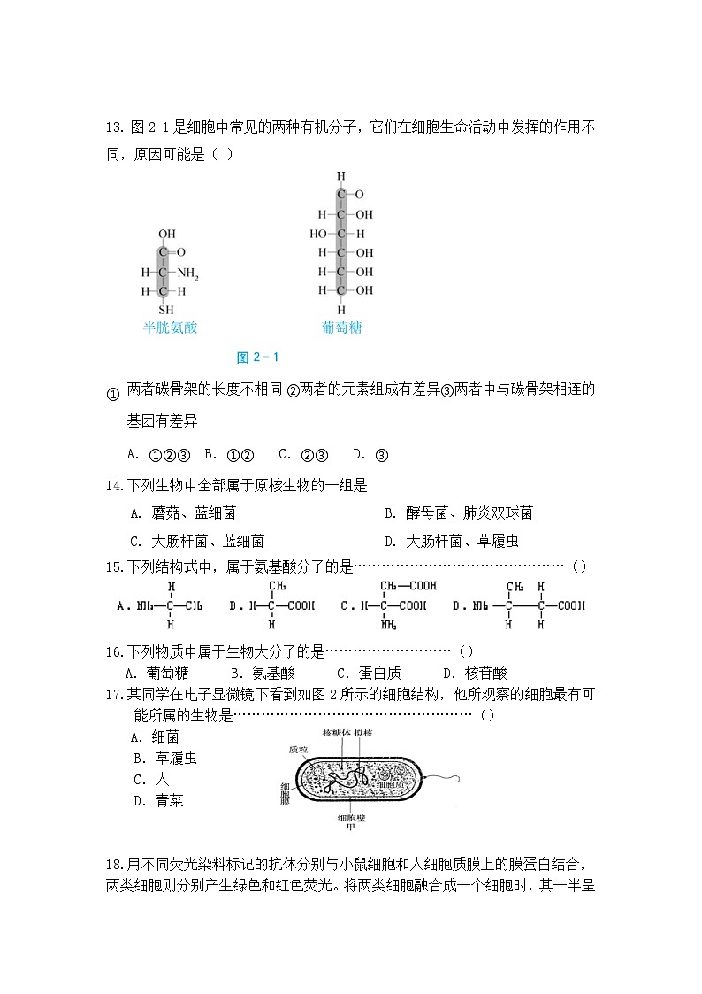 上海市回民中学2023-2024学年高一上学期期中考试生物试题03