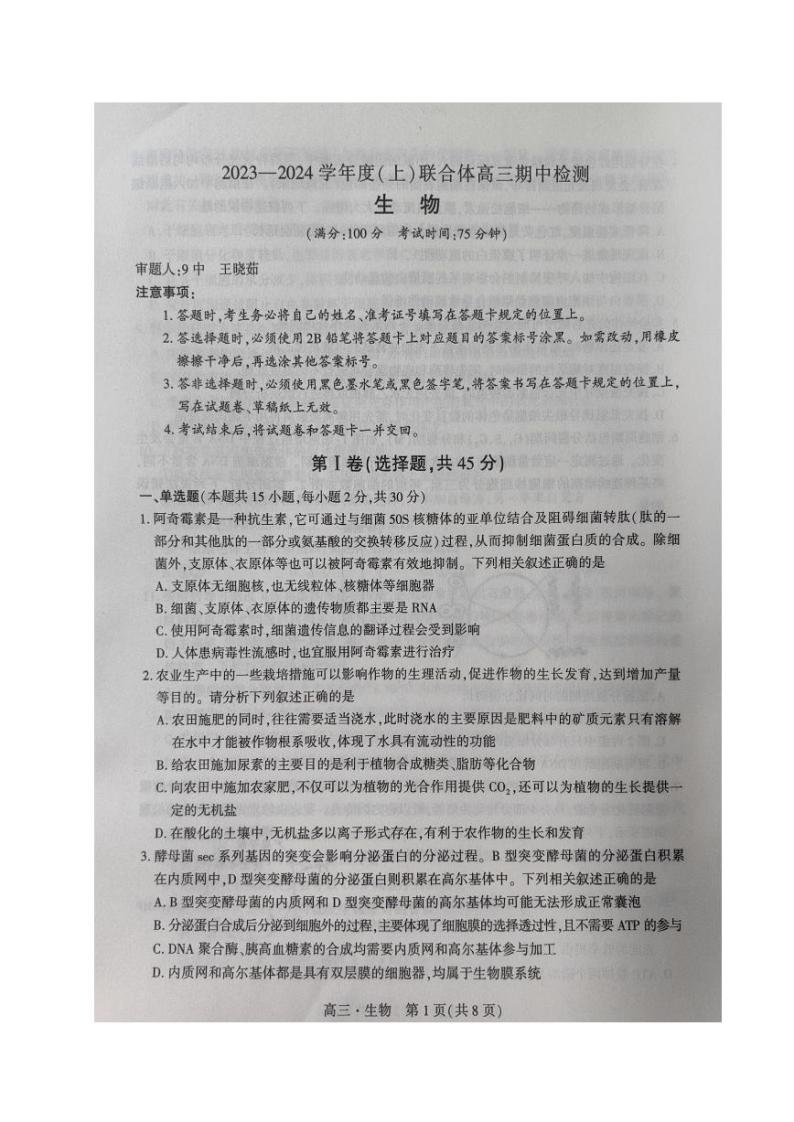 2024沈阳重点高中联合体高三上学期期中考试生物PDF版含答案01