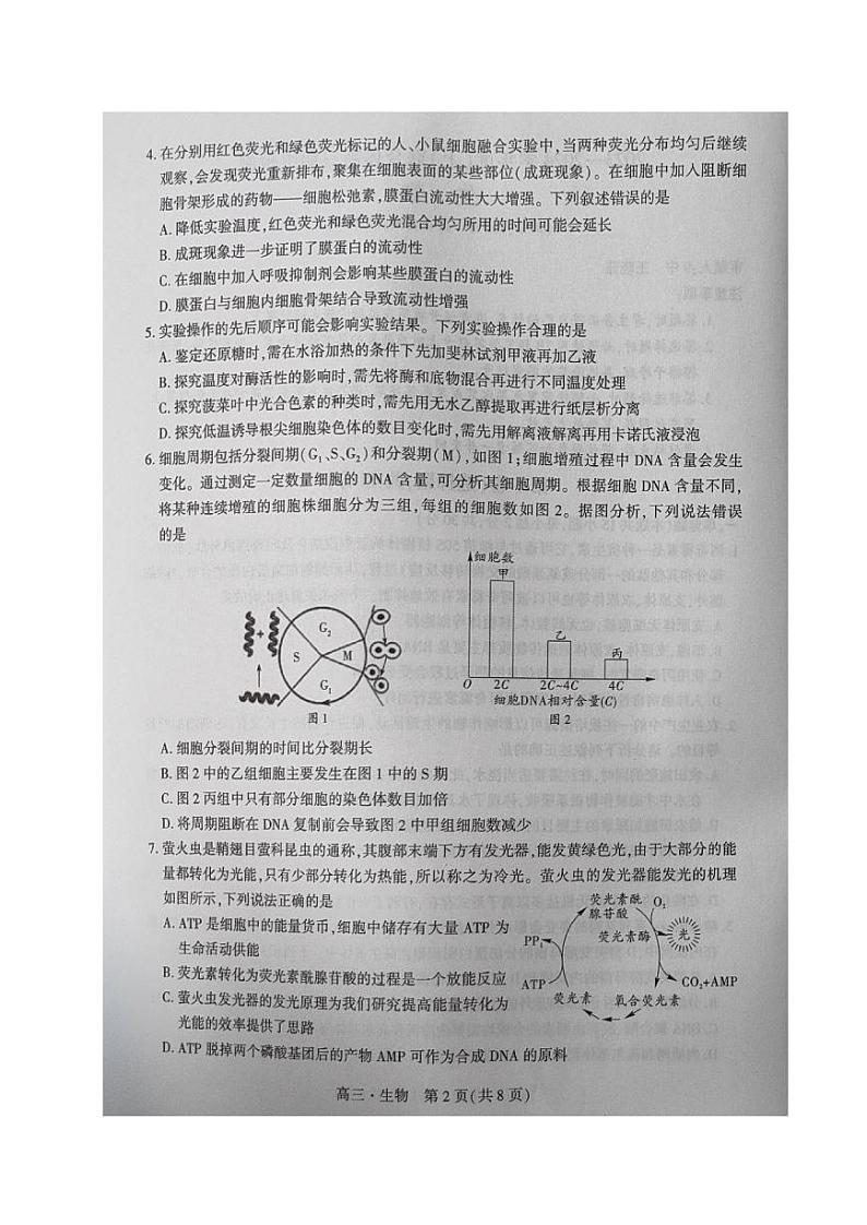 2024沈阳重点高中联合体高三上学期期中考试生物PDF版含答案第2页