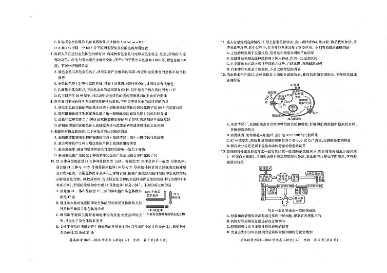 2024河南省普高联考高三上学期测评（三）生物PDF版含答案02