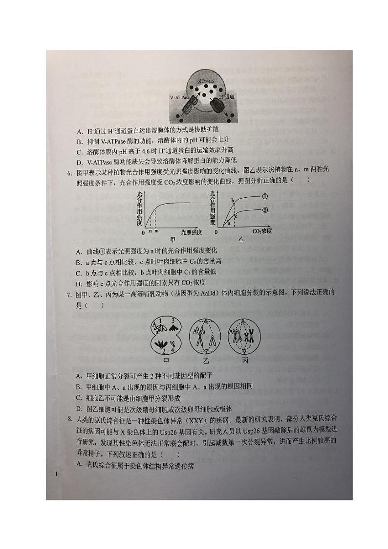 2024六安一中高三上学期第三次月考试题生物PDF版含答案第2页