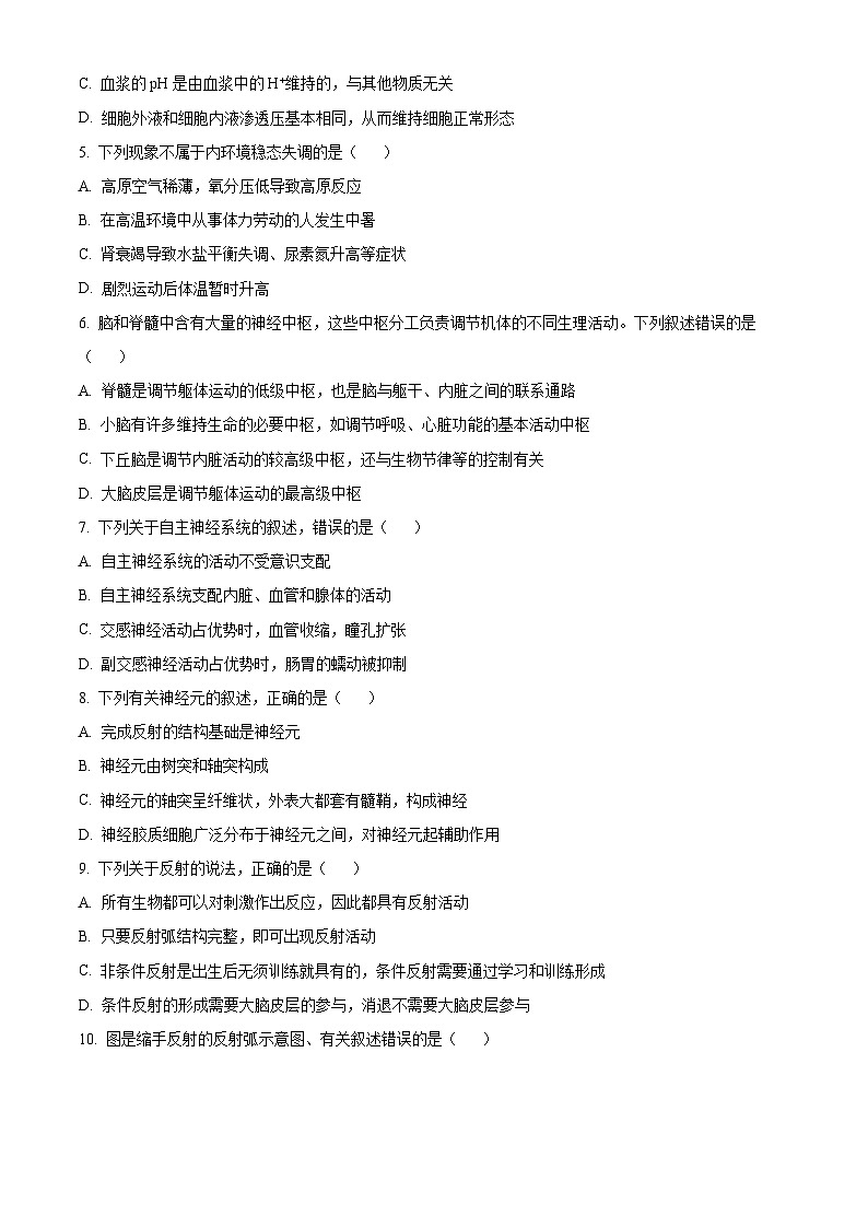 2024昆明师大附中高二上学期期中考试生物含解析02