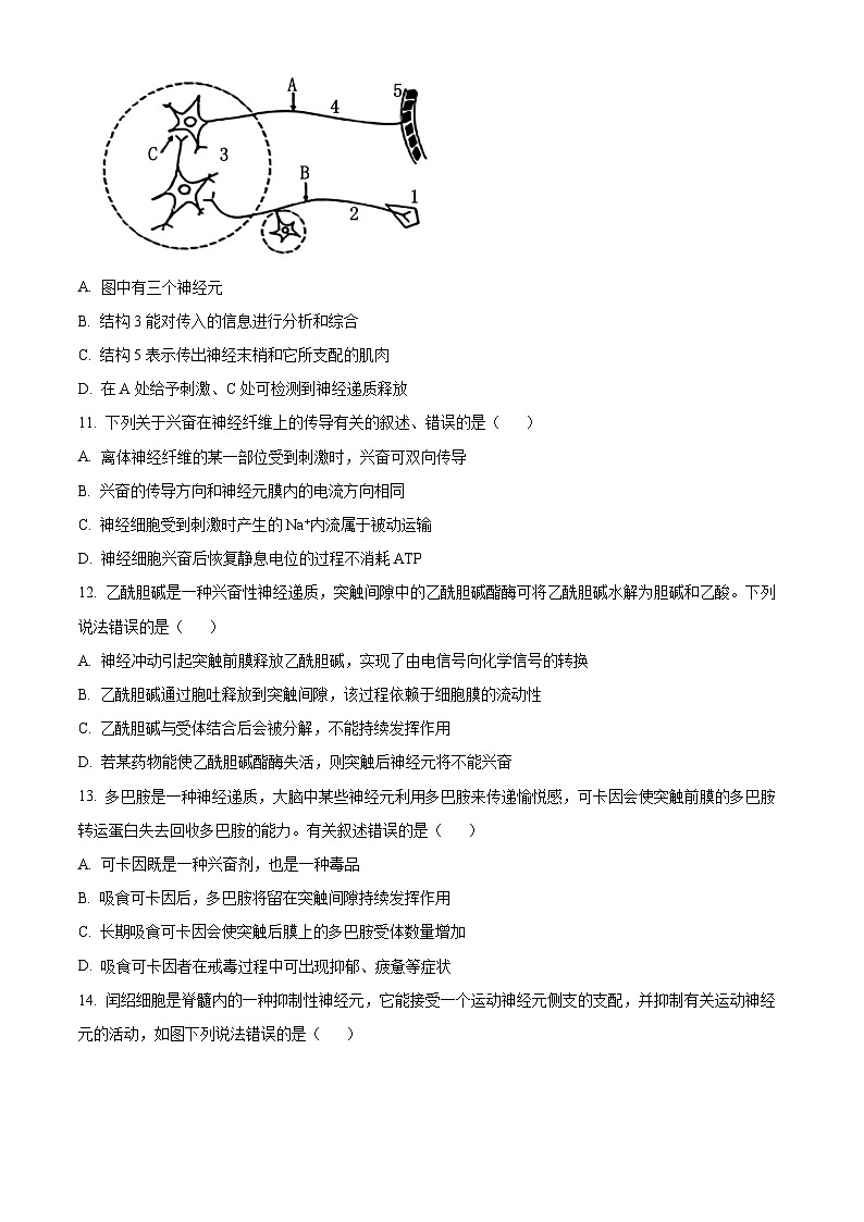 2024昆明师大附中高二上学期期中考试生物含解析03