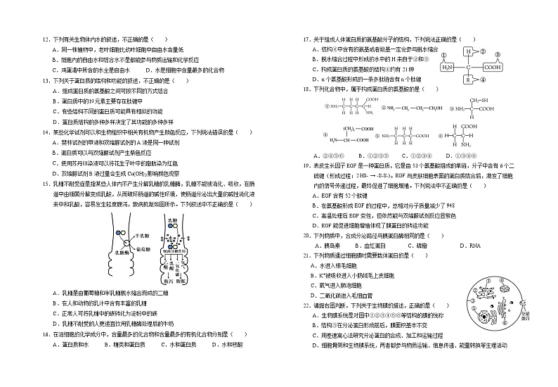 2024回族自治区银川一中高一上学期期中考试生物含答案02