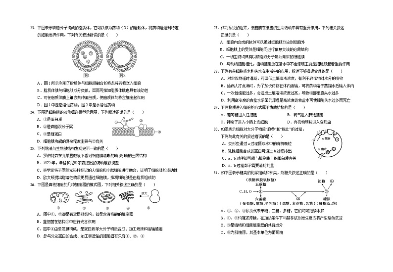 2024回族自治区银川一中高一上学期期中考试生物含答案03