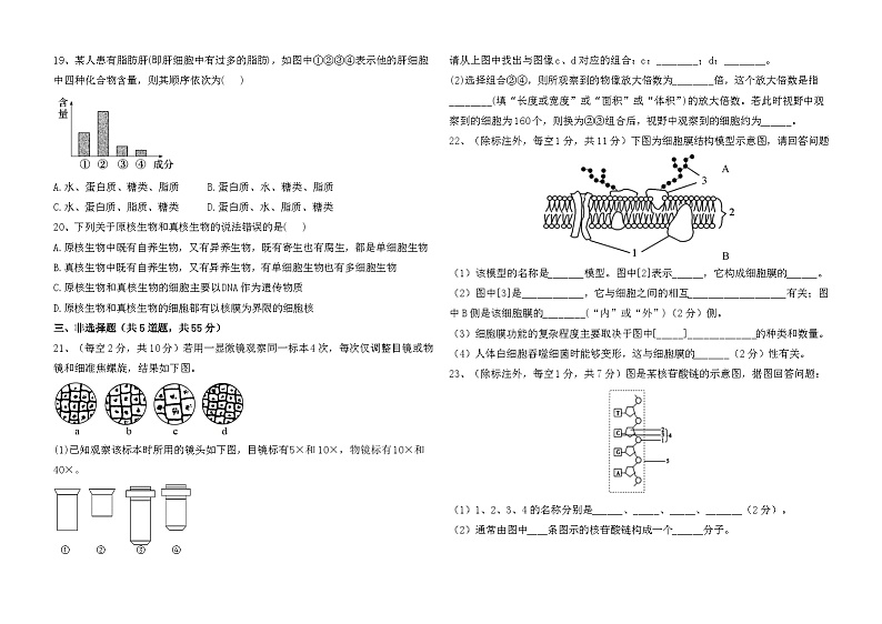 2024省佳木斯四校联考高一上学期11月期中考试生物含解析第3页
