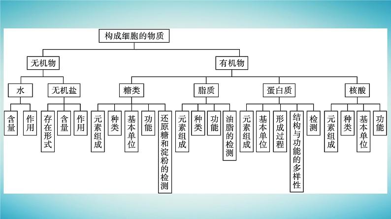 广西专版2023_2024学年新教材高中生物第1章细胞的分子组成章末核心素养整合课件浙科版必修104